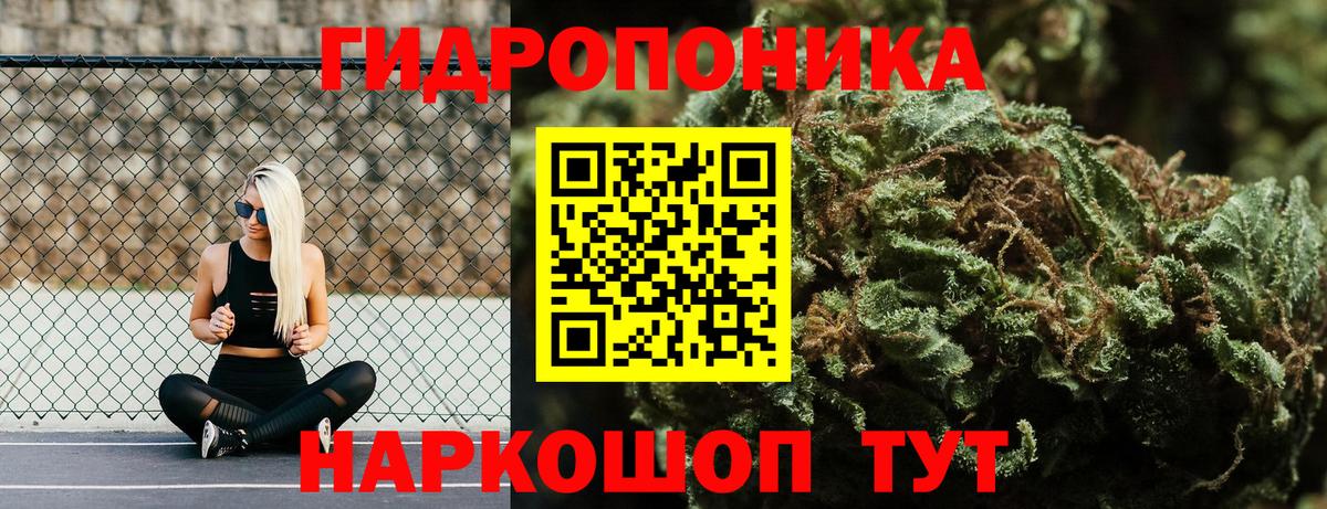 Бошки Шишки марихуана Анжеро-Судженск